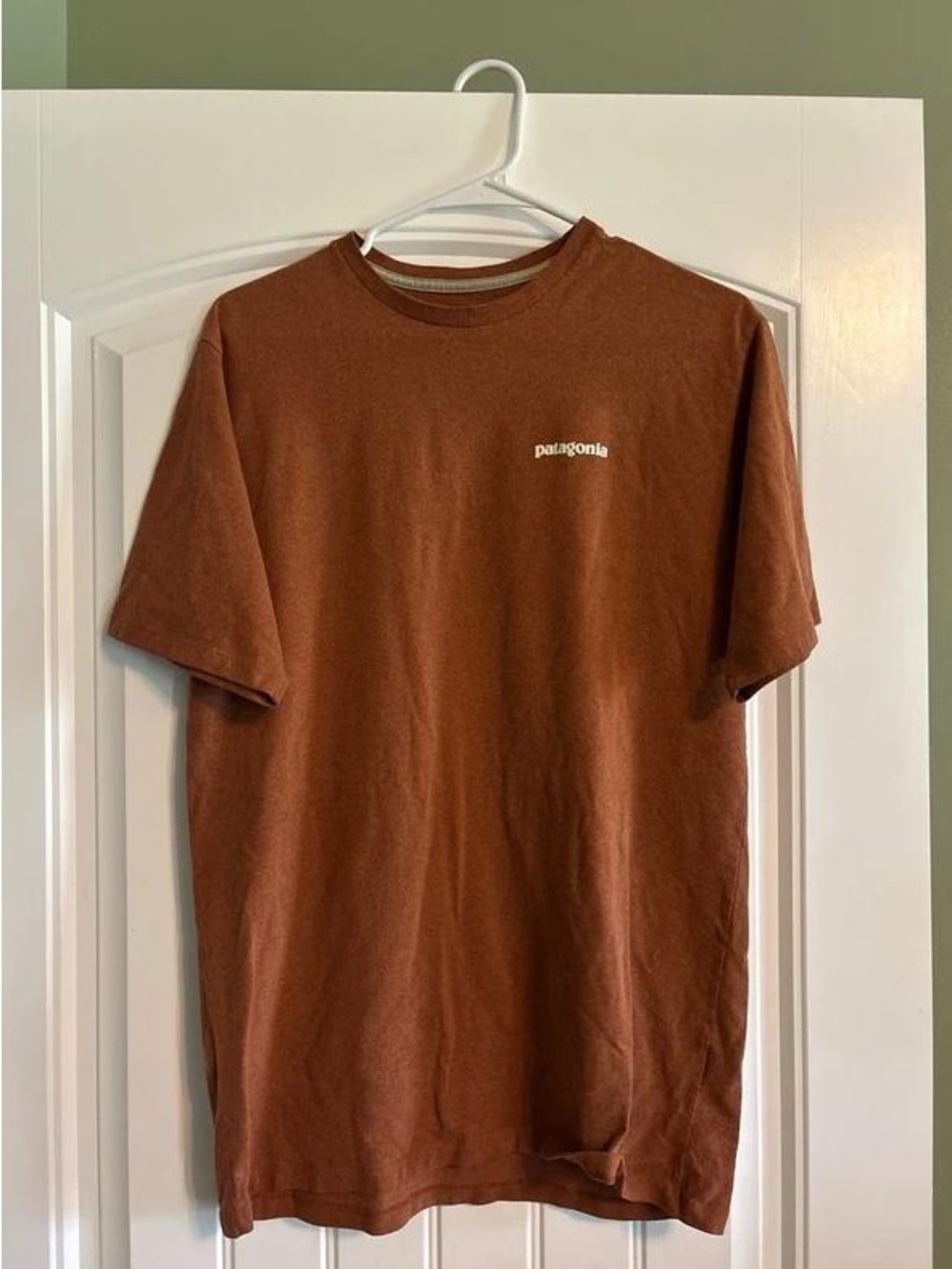 Patagonia Men's Short Sleeve Crew T-Shirt in Rust